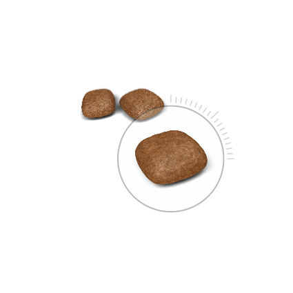 Royal Canin Urinary Care