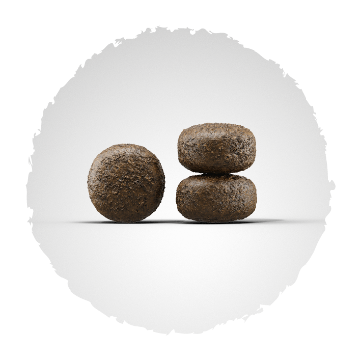 Josera Lamm und Reis