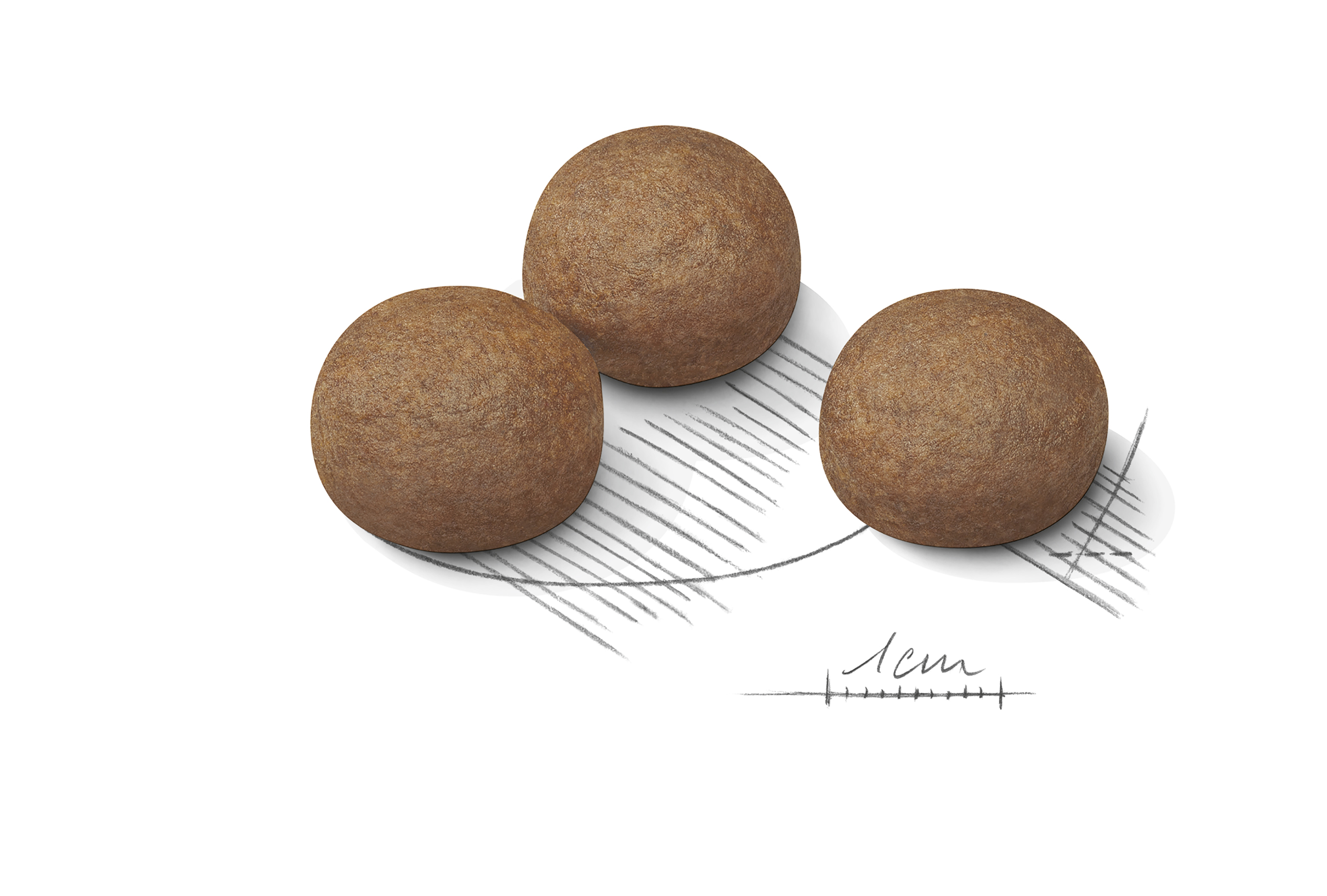 Royal Canin Digestive Care Maxi