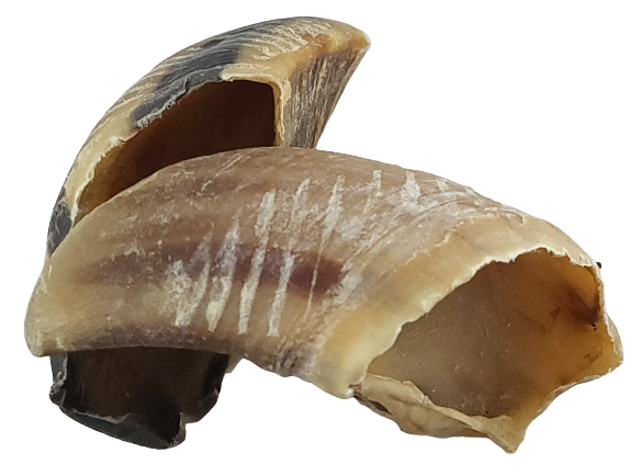 Rinderhufe