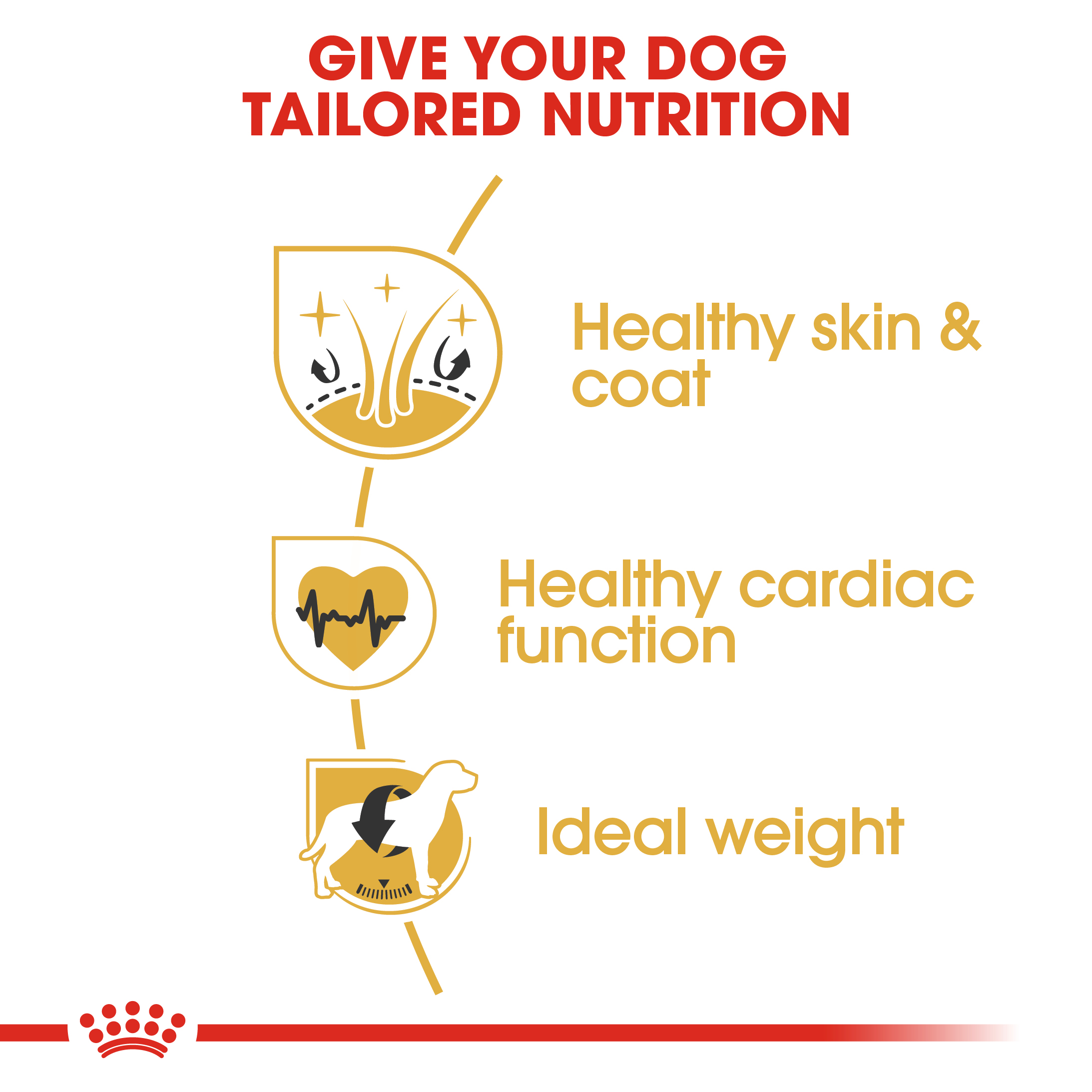 Royal Canin Golden Retriever