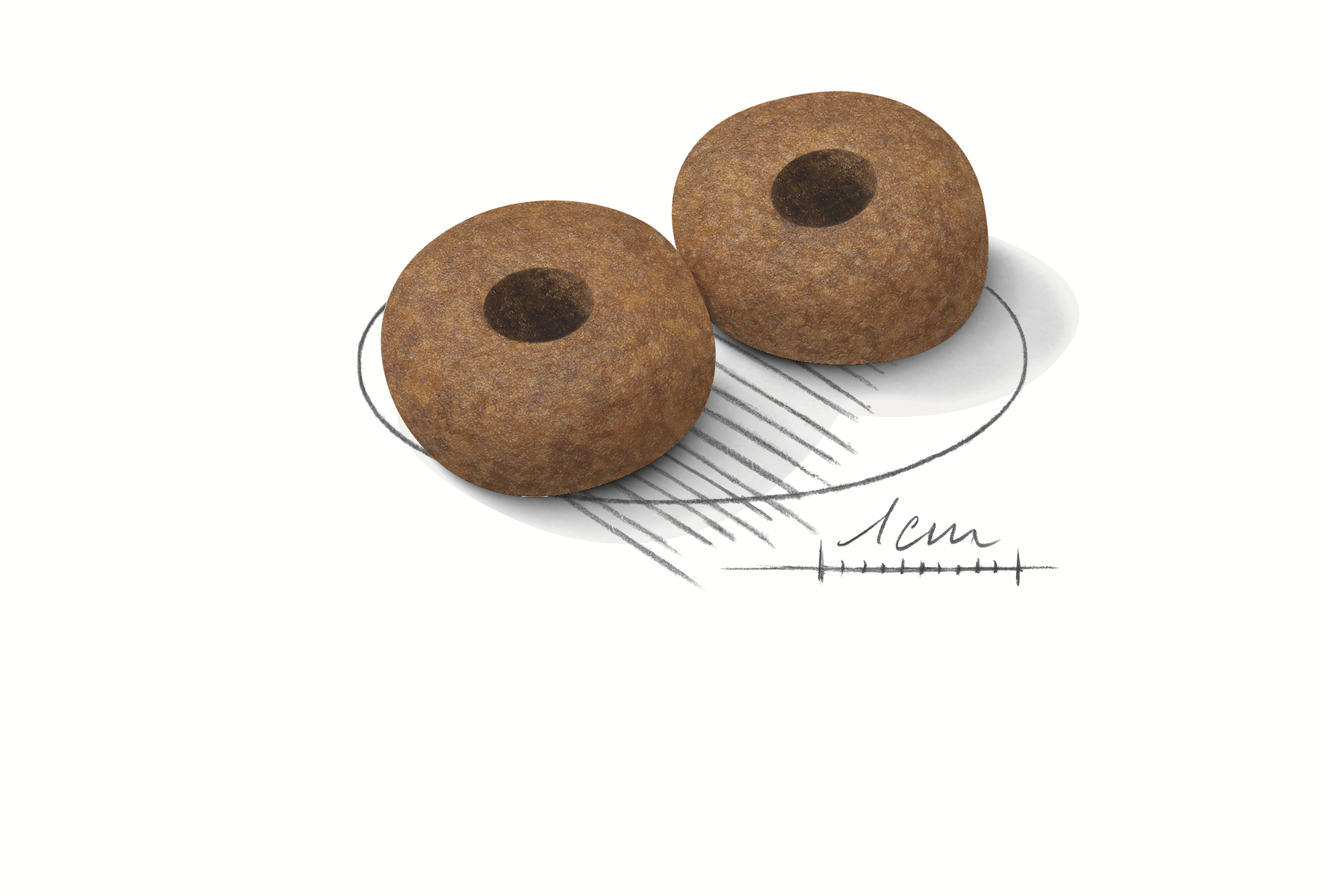 Royal Canin Medium Ageing 10+