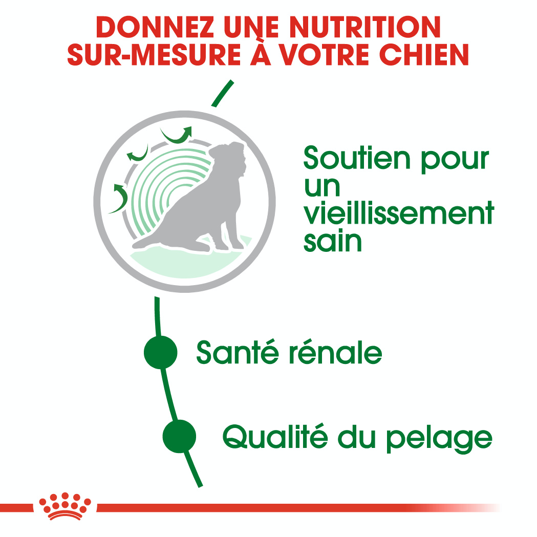 Royal Canin Mini Ageing 12+