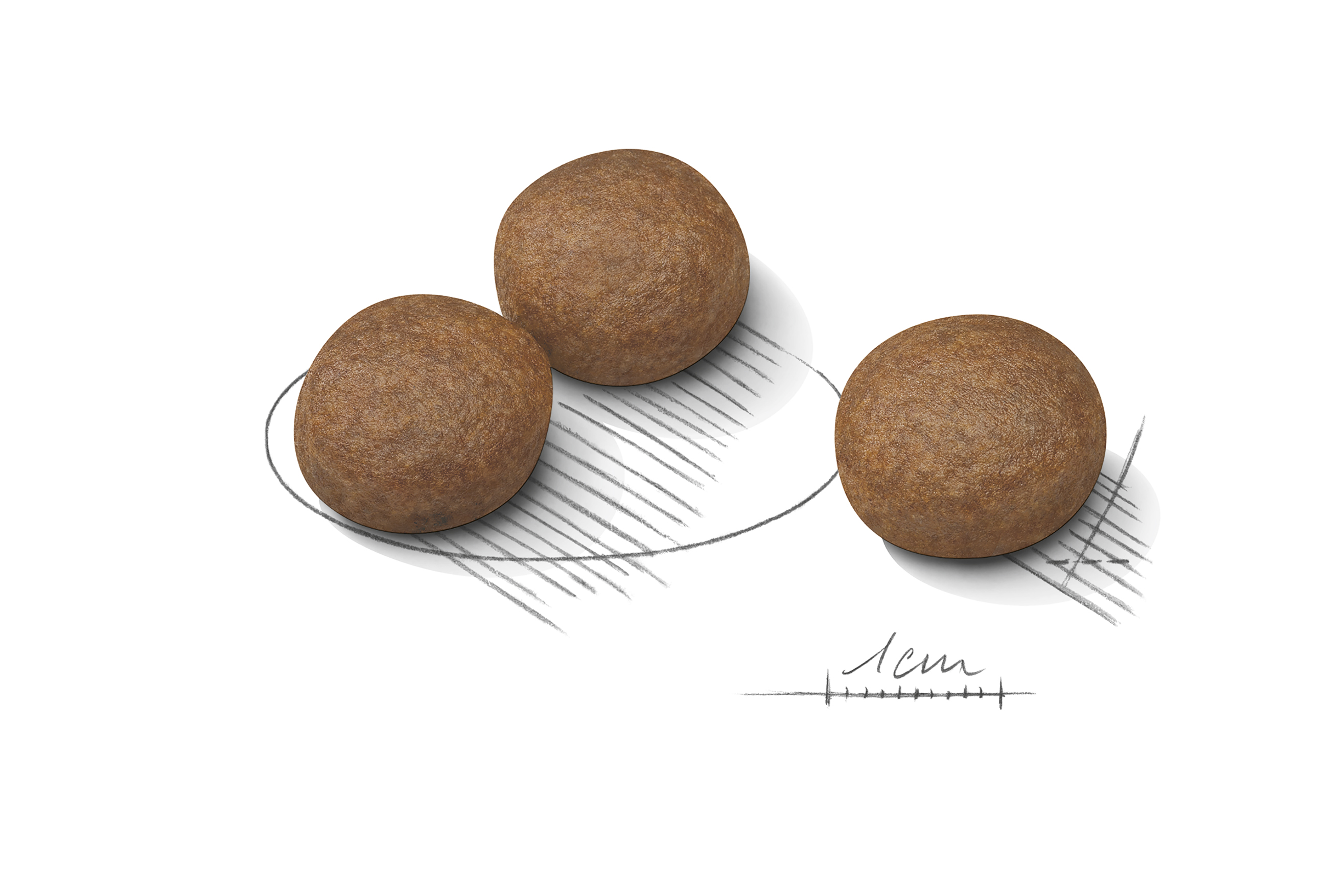 Royal Canin Digestive Care Medium