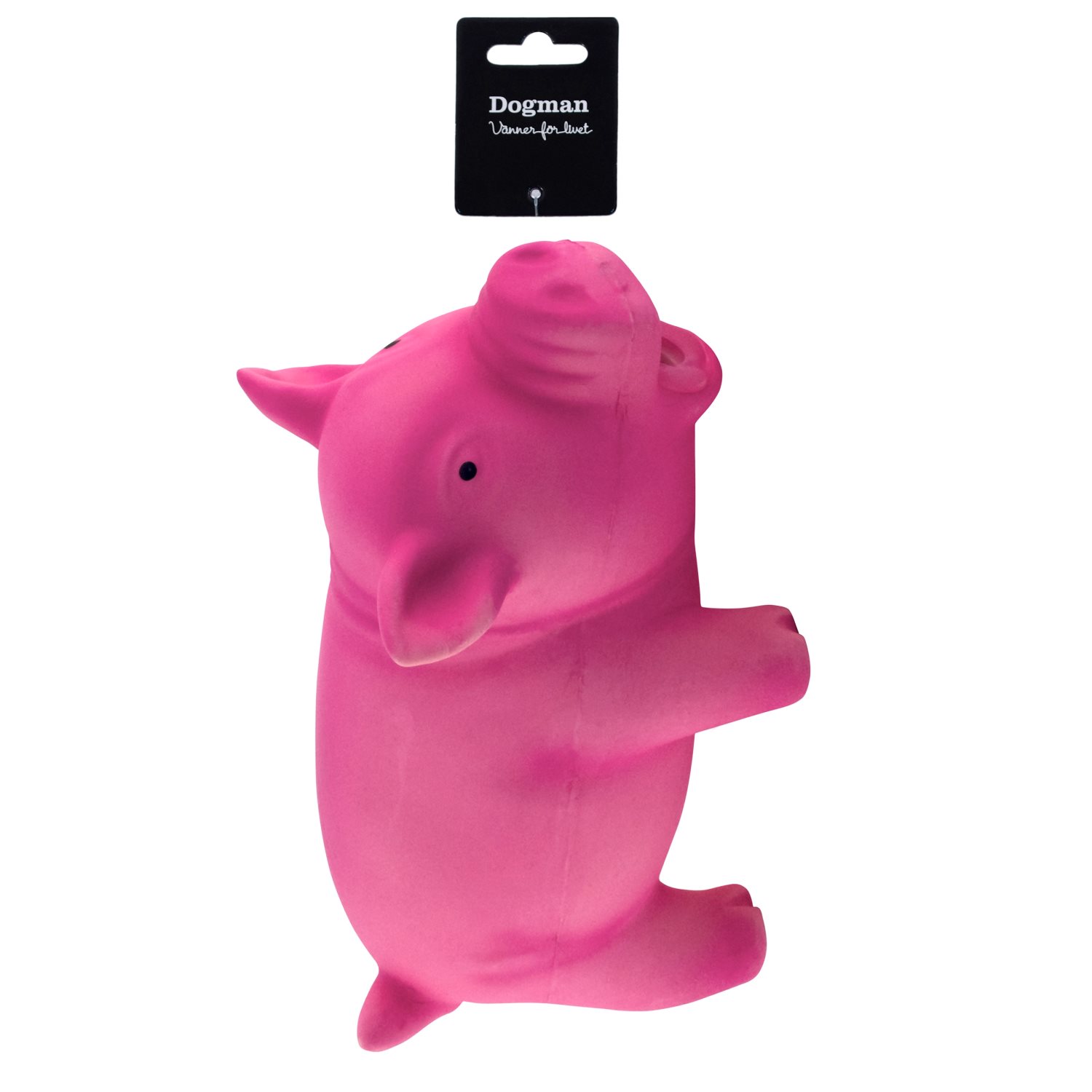 Latex-Schwein