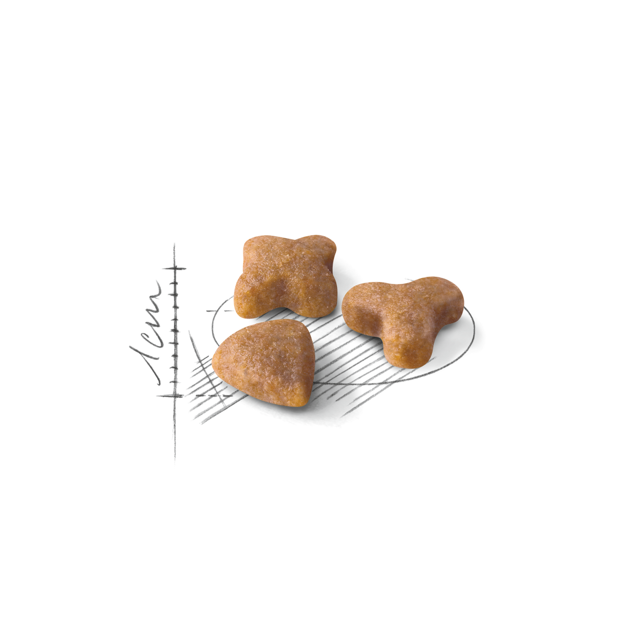 Royal Canin Sensible