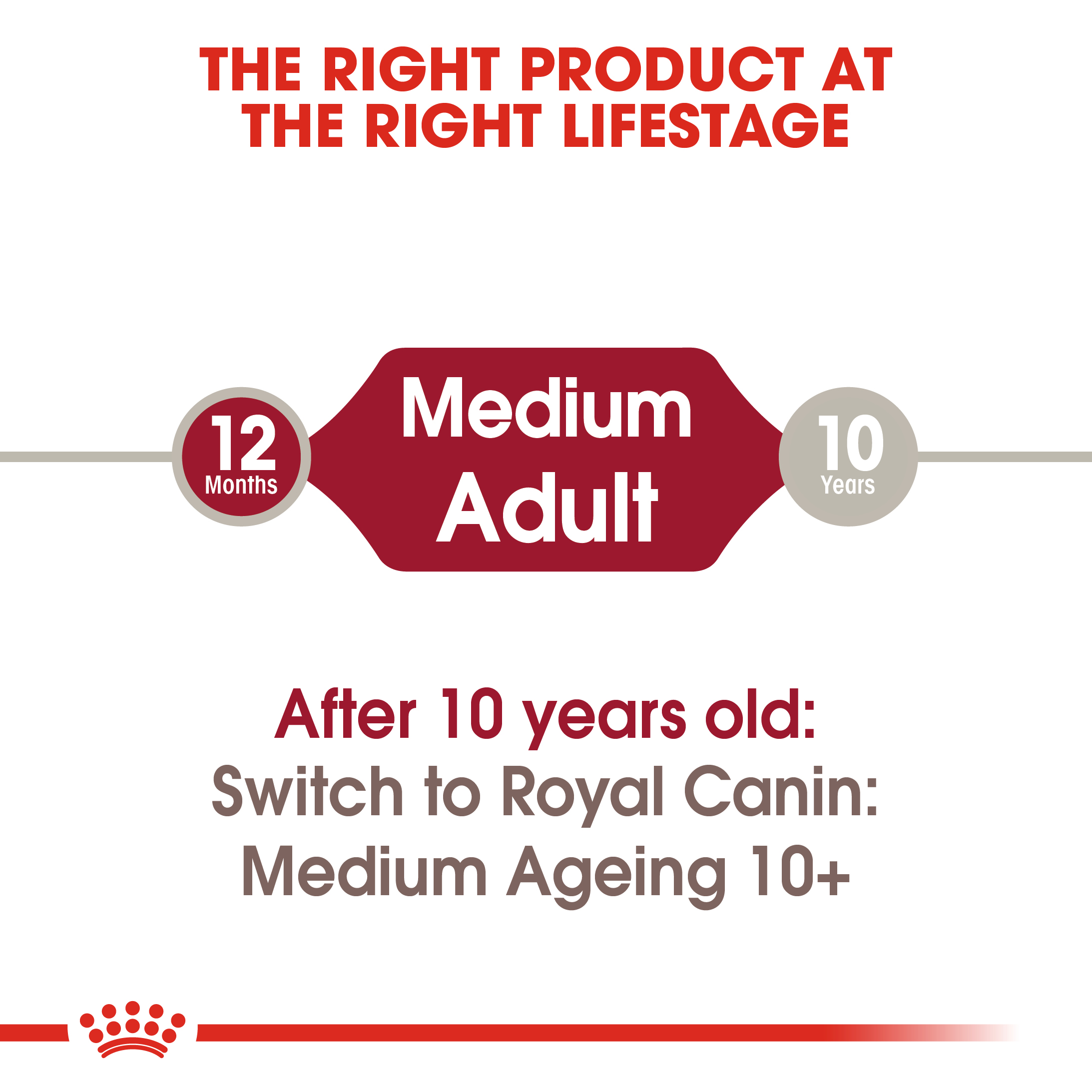 Royal Canin Medium Adult 10 x 140g
