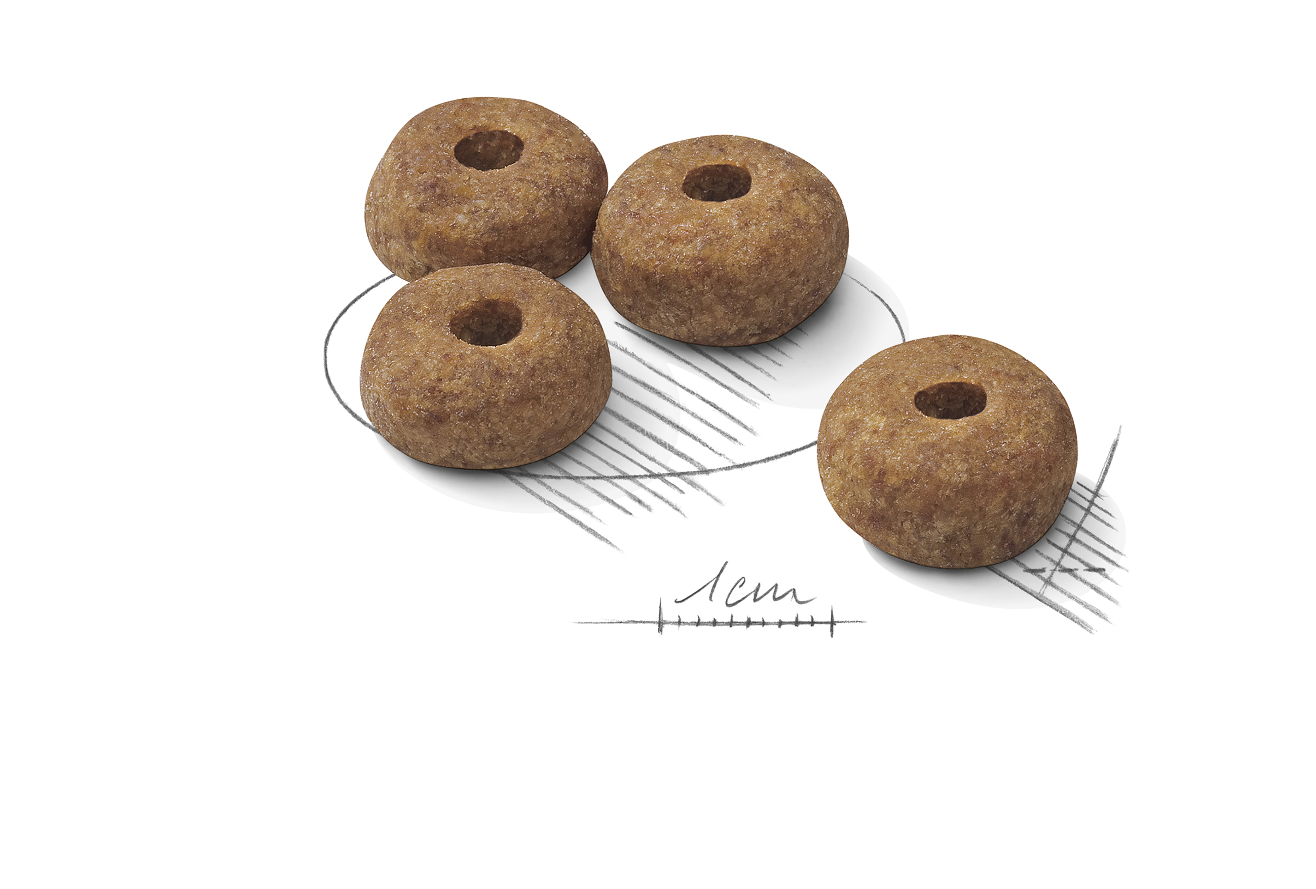 Royal Canin Sterilised Medium