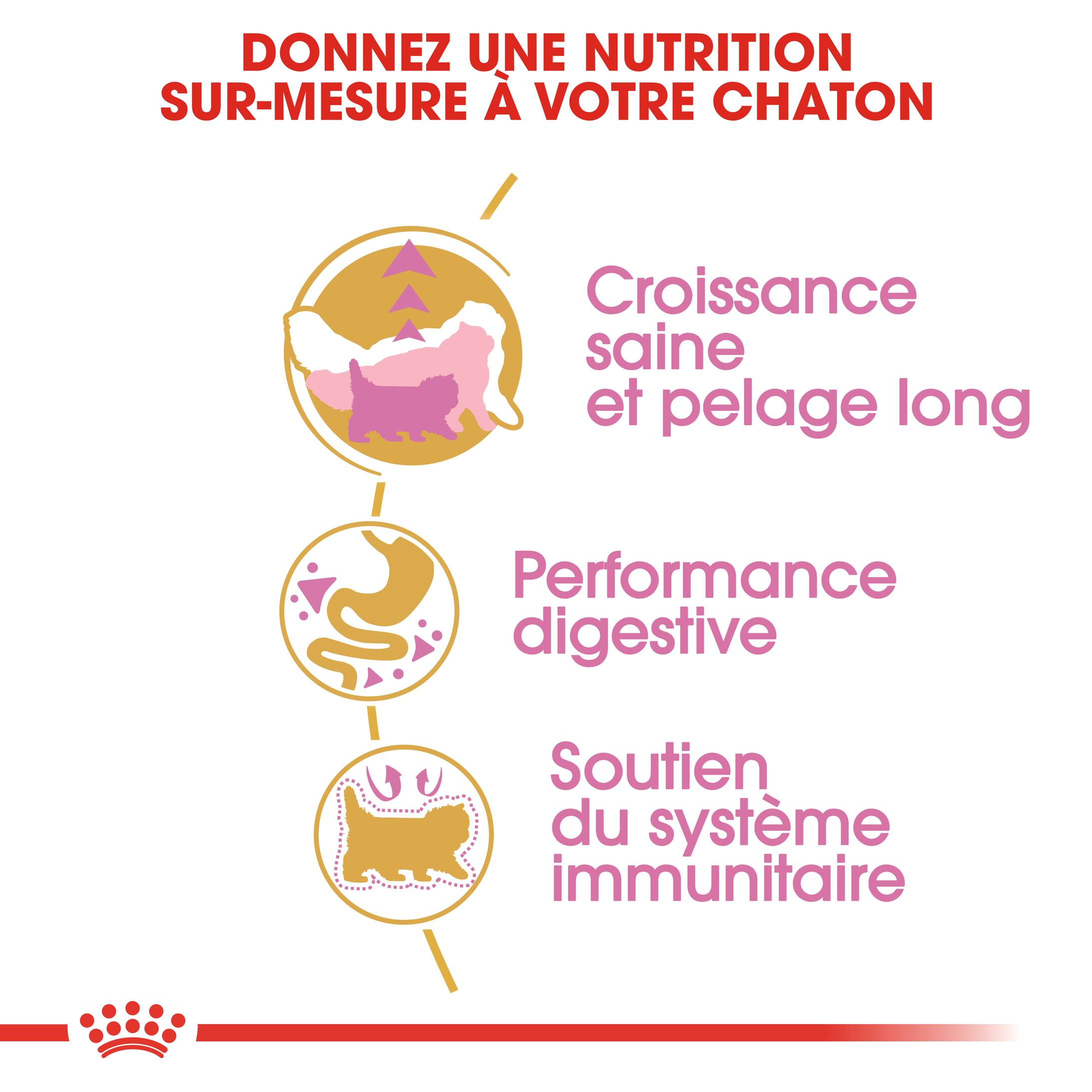 Royal Canin Kitten Persian