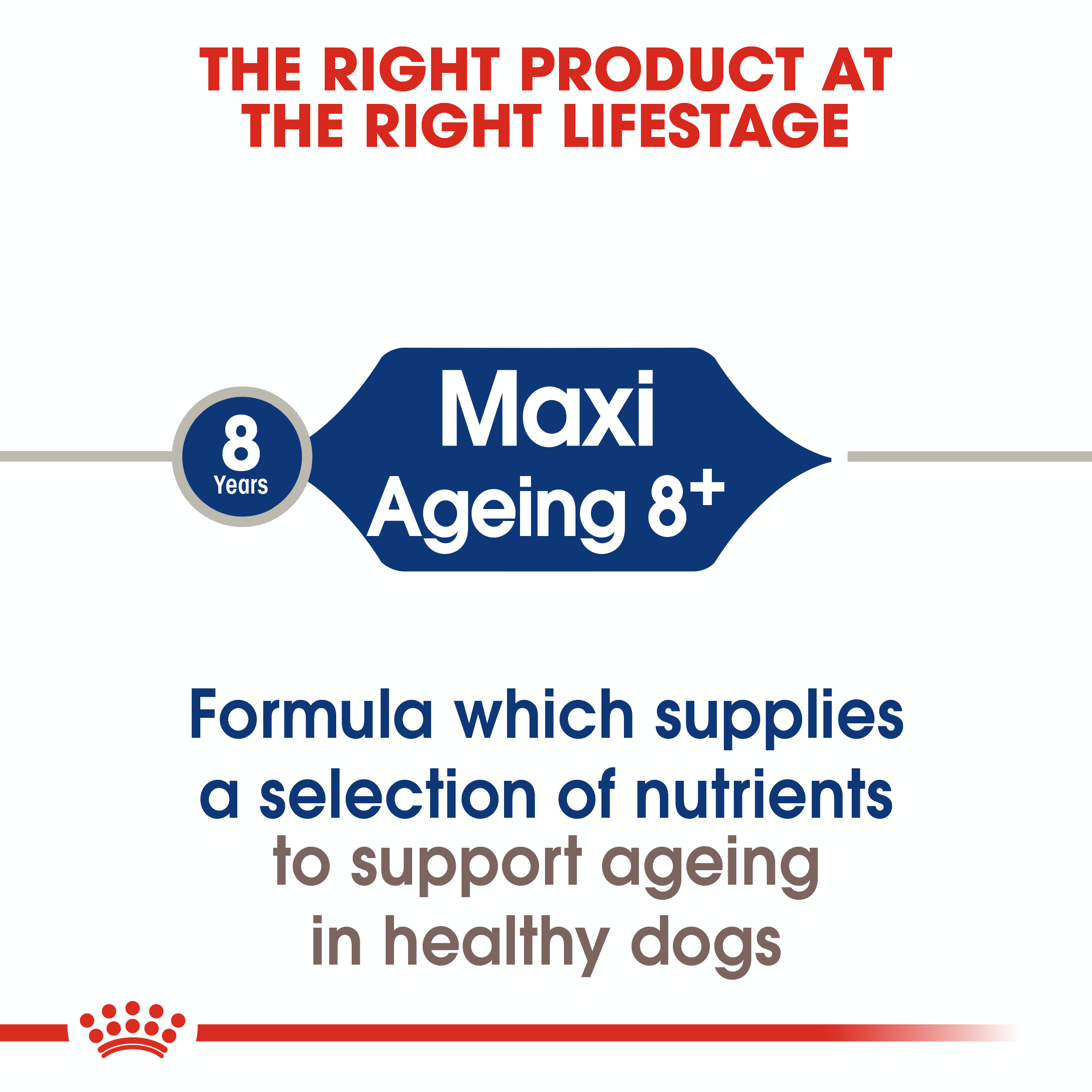 Royal Canin Maxi Ageing 8+