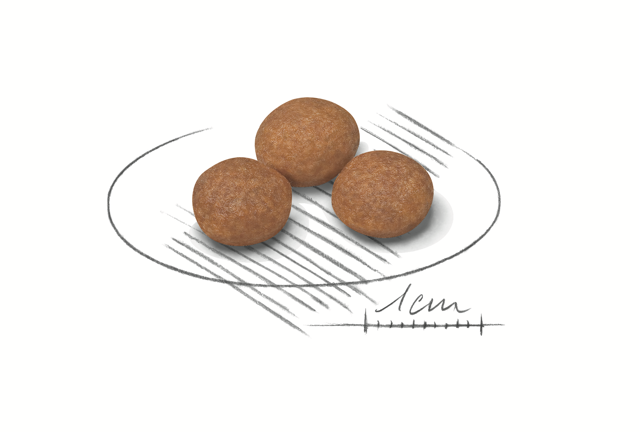 Royal Canin X-Small Adult 8+