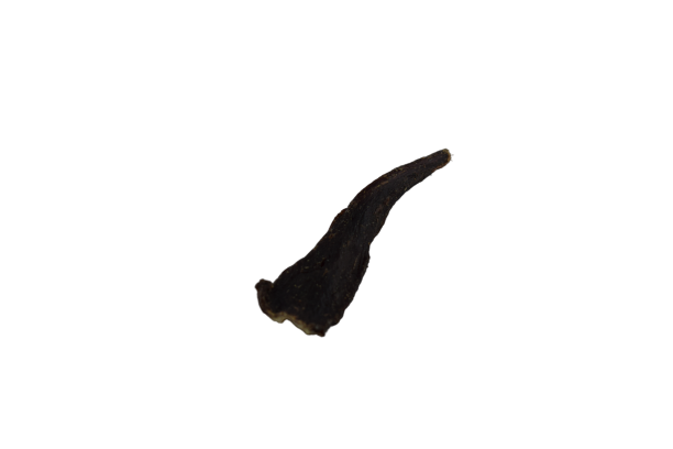 Welpensticks 100% Rind