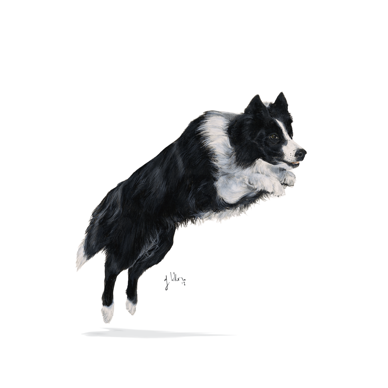 Royal Canin Sport Energy 4100 Large Dog (Agility) 15kg