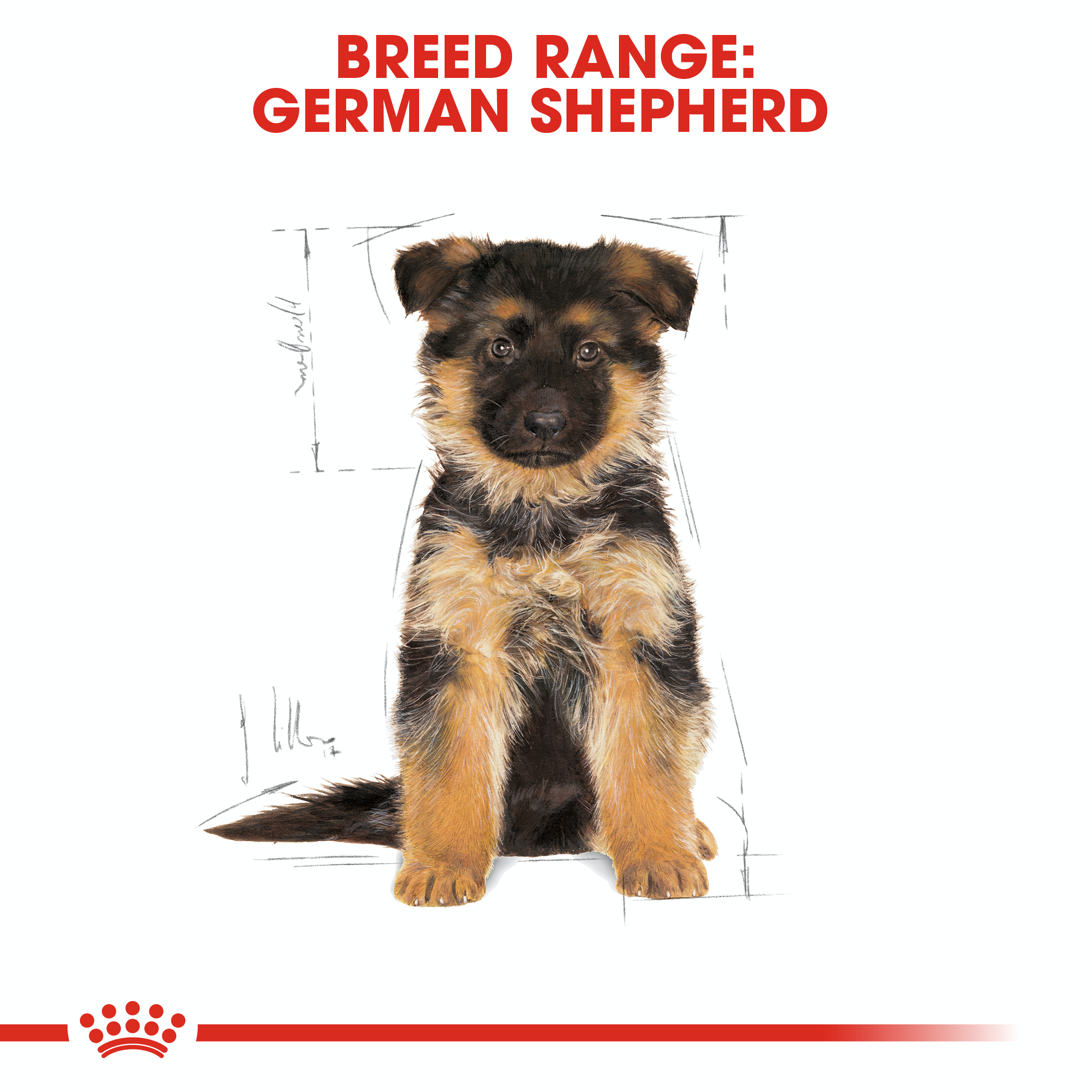 Royal Canin German Shepherd Junior