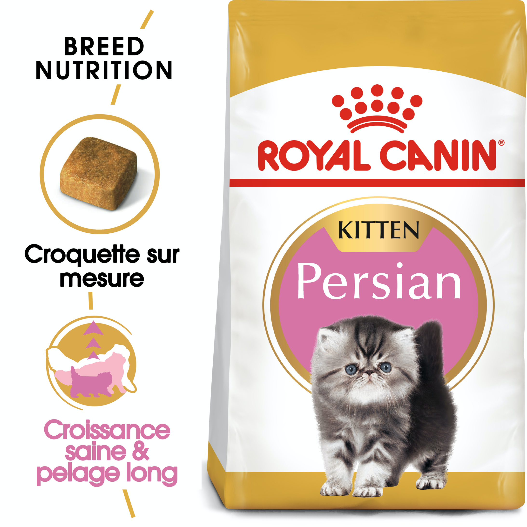 Royal Canin Kitten Persian