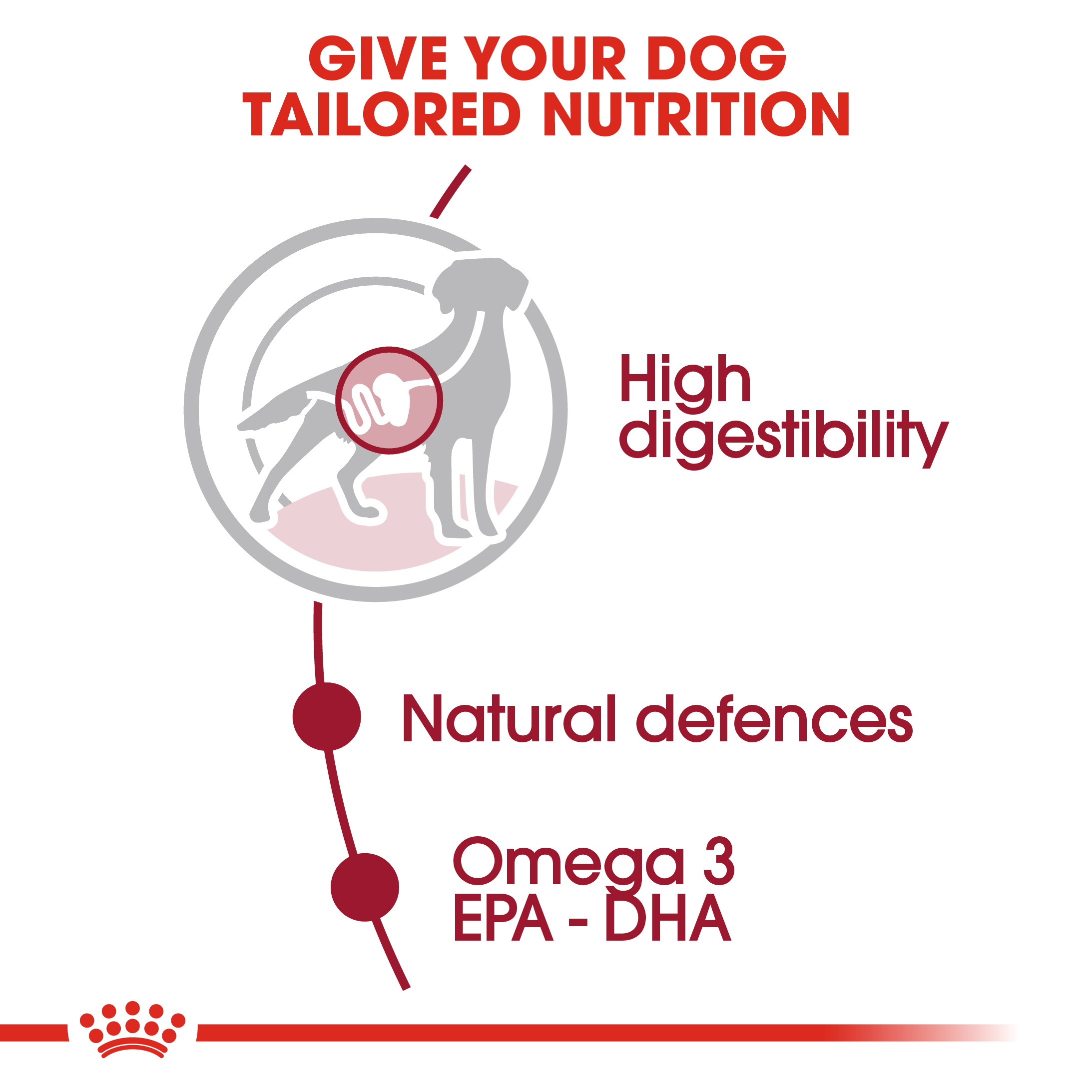 Royal Canin Medium Adult 10 x 140g