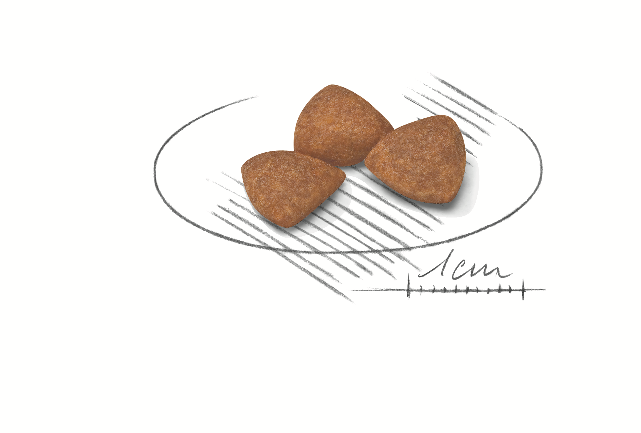 Royal Canin X-Small Ageing 12+