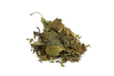 Maulbeerblätter