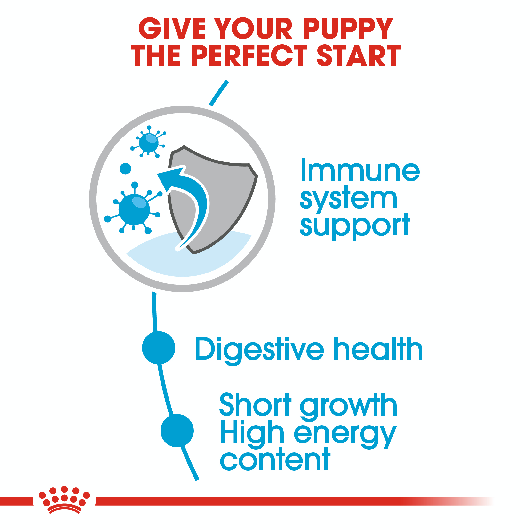 Royal Canin Medium Puppy 10 x 140g